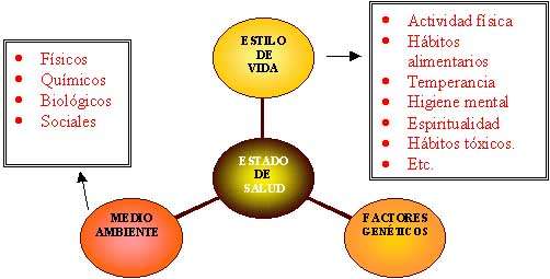 Diagrama Estado de Salud